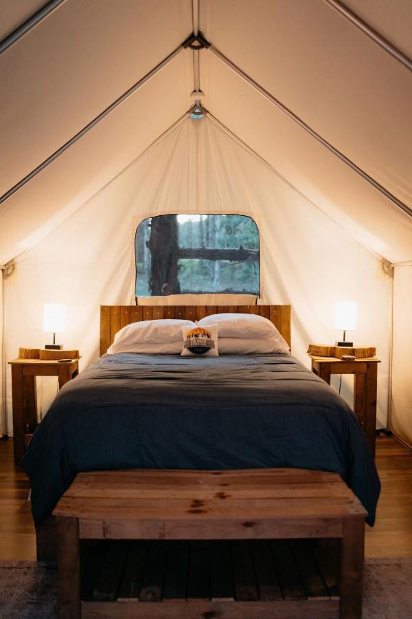Hotel Treehouse Cozy Glamping Site à Branson Extérieur photo